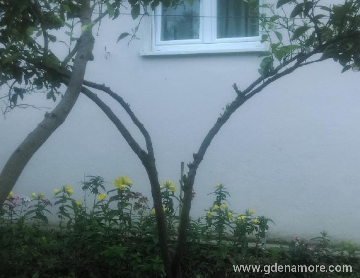 71.Pogled iz jednog od apartmana